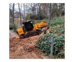 Stump Removal Duluth - Southern Star Stump | free-classifieds-usa.com - 1