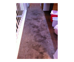 Affordable Carpet Repair In San Jose CA | free-classifieds-usa.com - 1