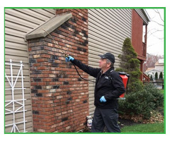 Book Full-Service Home Pest Control Agency in Albany NY | free-classifieds-usa.com - 1