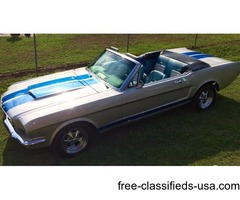 1966 Ford Mustang | free-classifieds-usa.com - 1