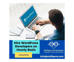 Hire WordPress Developers on Hourly Basis | free-classifieds-usa.com - 1
