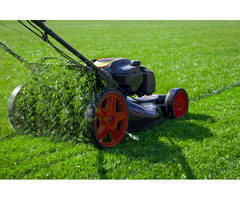 Get Lawn Care Mamaroneck Services for your Home | free-classifieds-usa.com - 1