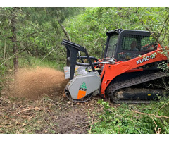 Land Clearing in Bay Florida: Florida Land Clearing | free-classifieds-usa.com - 1