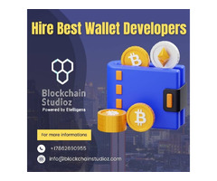 Hire Best Wallet Developers on Monthly Basis  | free-classifieds-usa.com - 1