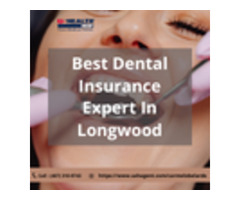 Best Dental Insurance Expert In Longwood | free-classifieds-usa.com - 1