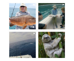 Check Out Costa Rica Sailfishing Offered By Crocodile Bay Resort | free-classifieds-usa.com - 1