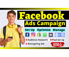 I'll Run Profitable Facebook Ads Campaign & Instagram Ads. | free-classifieds-usa.com - 1