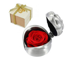 Preserved Roses Female Gifts | free-classifieds-usa.com - 1