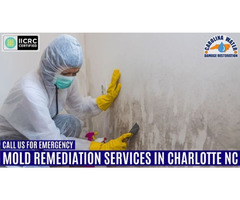 Call us For Emergency Mold Remediation Services in Charlotte NC | free-classifieds-usa.com - 1