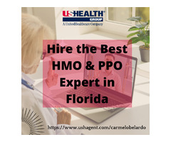 Appoint PPO Insurance Experts in Florida | free-classifieds-usa.com - 1