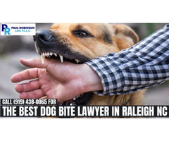 The Best Dog Bite Lawyer in Raleigh NC | free-classifieds-usa.com - 1