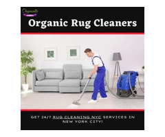 Are you seeking Rug Cleaning Ny services? We can help! | free-classifieds-usa.com - 1