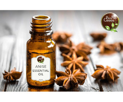 Bulk Anise Essential Oil for Retailers & Aromatherapy Practitioners | free-classifieds-usa.com - 1