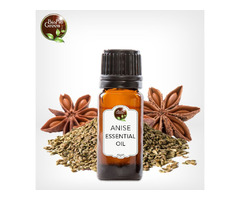 Bulk Anise Essential Oil for Retailers & Aromatherapy Practitioners | free-classifieds-usa.com - 3