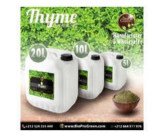 THYME a delicate looking herb: | free-classifieds-usa.com - 4