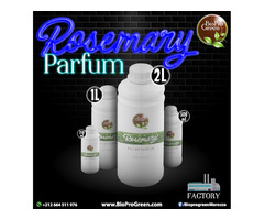 Rosemary essential oil: | free-classifieds-usa.com - 2