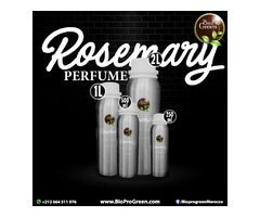 Rosemary essential oil: | free-classifieds-usa.com - 4