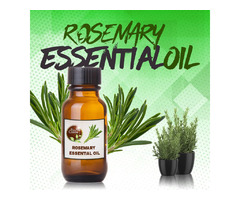 Rosemary herbs: | free-classifieds-usa.com - 2