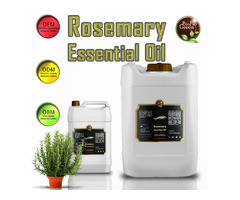 Rosemary herbs: | free-classifieds-usa.com - 4