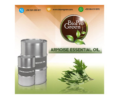 Choosing the Right Bulk Armoise Essential Oil Supplier | free-classifieds-usa.com - 1