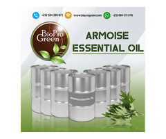 Choosing the Right Bulk Armoise Essential Oil Supplier | free-classifieds-usa.com - 2