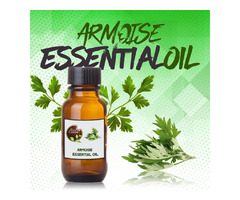 Armoise Essential Oil: | free-classifieds-usa.com - 2