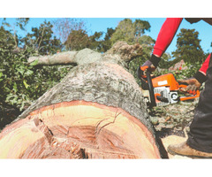 Tree Service Lafayette  | free-classifieds-usa.com - 1
