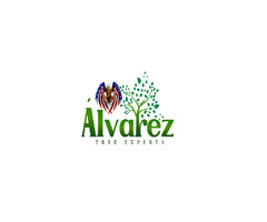 Alvarez Tree Expert- Tree Service- Tree Removal | free-classifieds-usa.com - 1