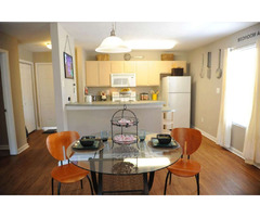  Book Dwell Tenn Street Tallahassee with an exclusive offer | free-classifieds-usa.com - 1