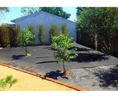 Front Yard Landscaping in Anaheim | free-classifieds-usa.com - 3