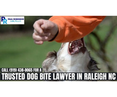 Trusted Dog Bite Lawyer in Raleigh NC | free-classifieds-usa.com - 1