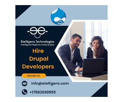 Hire Drupal Developers on Monthly Basis | free-classifieds-usa.com - 1