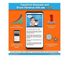 Boost business revenues the best way via moLotus breakthrough transformation | free-classifieds-usa.com - 1
