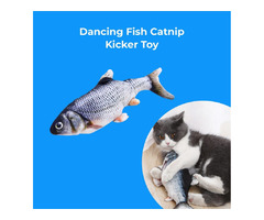 Dancing Fish Catnip Kicker Toy | free-classifieds-usa.com - 1