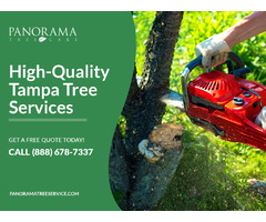 Trusted Tree Service in Tampa, Florida | free-classifieds-usa.com - 1