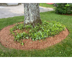 Reyes Landscaping | free-classifieds-usa.com - 2