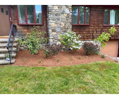 Reyes Landscaping | free-classifieds-usa.com - 3