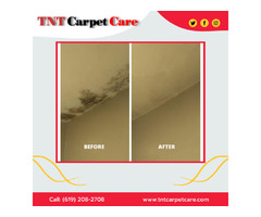 Complete Mold Removal In El Cajon | free-classifieds-usa.com - 1