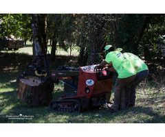 Stump Grinding Services From Associate Arborists | free-classifieds-usa.com - 1