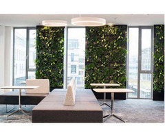 Best Vertical Plant Wall Company in New York | free-classifieds-usa.com - 1