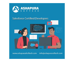 Salesforce Certified Developers | free-classifieds-usa.com - 1