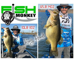 Are you looking for Sun Protection Gloves - Fish Monkey Gloves | free-classifieds-usa.com - 3
