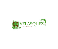 Velasquez Tree Service | free-classifieds-usa.com - 4