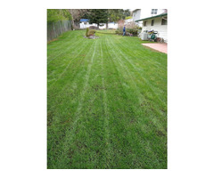 Carlos Pablo Lawn Care and Landscaping | free-classifieds-usa.com - 4