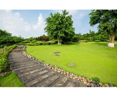 Know The Important Factor of Lawn care | free-classifieds-usa.com - 1