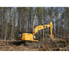 Union, Volusia, and Wakulla County Land Clearing Services | free-classifieds-usa.com - 1