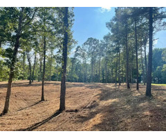 Union, Volusia, and Wakulla County Land Clearing Services | free-classifieds-usa.com - 4
