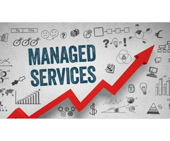 Get Amazing Managed IT support and services Florida | free-classifieds-usa.com - 1