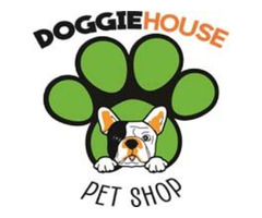 Beagle Puppy for Sale | free-classifieds-usa.com - 1