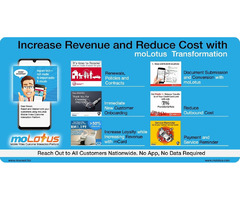 Cost-effective ways for you to enhance revenue via moLotus transformation | free-classifieds-usa.com - 1